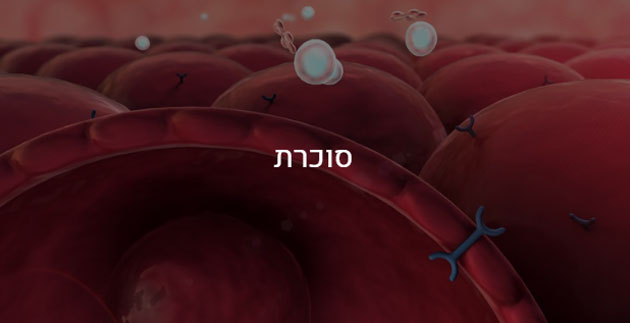 סוכרת